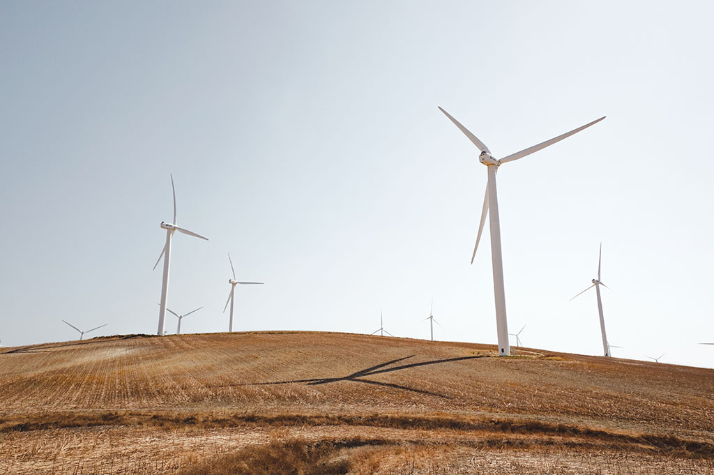 Molinos de viento